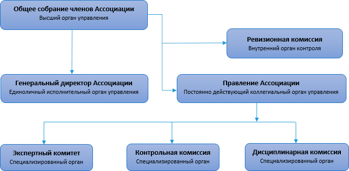 Структура Ассоциации